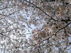-长广溪湿地公园