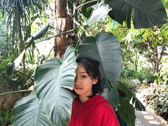-南山植物园
