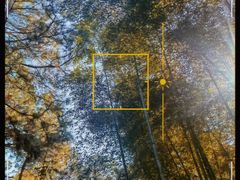 -竹上云想餐厅民宿