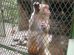 -藏龙百瀑风景区