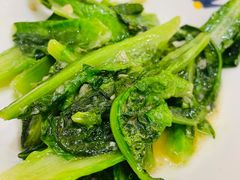 新鲜油麦菜-萨莉亚意式餐厅(黄埔大沙地店)