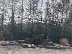 -上海野生动物园老虎餐厅