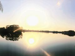 -大兴滨河森林公园