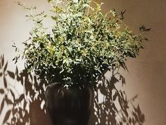 -山里亲戚(淞虹路店)