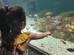 -江和美海洋公园