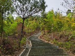 -红山村