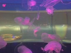 -常州海昌海洋探索馆