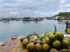 -蓝湾碧波·老字号·疍家非遗海上餐厅