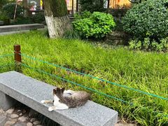 -百脉泉景区
