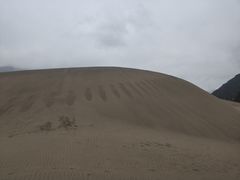 -佛掌沙丘
