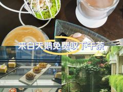 -白天鹅宾馆·流浮阁咖啡厅