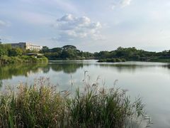 -福田红树林生态公园