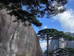 -黄山风景区