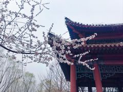 -北坞公园