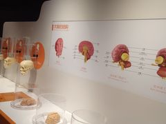 -龙岗区科技馆
