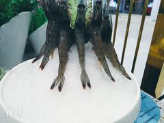 -椰子营·椰子鸡火锅(万象里店)
