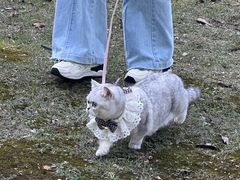 -上海吴淞炮台湾国家湿地公园