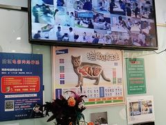 -纳吉亚猫专科动物医院博雅分院