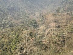 -青城山