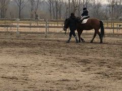 -月河湾马术俱乐部(朝阳店)