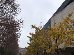 -昆明理工大学莲华校区幼儿园