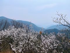 -妙峰山风景名胜区