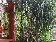 -泰兰香·Thailand(凯德空中花园店)