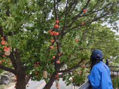 -南京金牛湖风景区