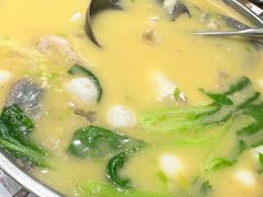 -丁老爷子苏香圆