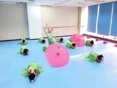 -小芳舞蹈团·少儿舞蹈·中国舞(龙江校区)