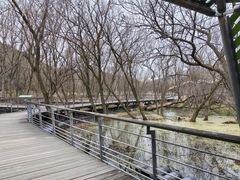 -西湖风景区-江洋畈生态公园