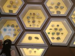 -湖南省地质博物馆