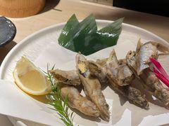 -乌君·酒场·炭火烧鸟(侨城坊店)