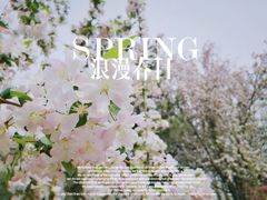 -海棠花溪(元大都城垣遗址公园)