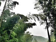 -雅达·阳羡溪山小镇中心