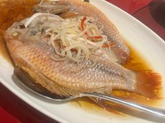 -上海新锦江大酒店