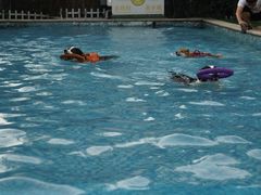 -汪说喵讲宠物乐园宠物酒店(红星美凯龙店)