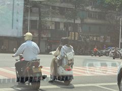 -金砂公园