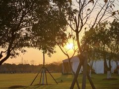 -上海海湾国家森林公园