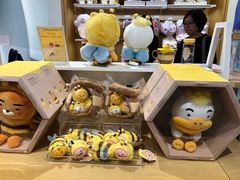 -KAKAO FRIENDS(弘大店)