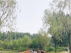 -东郊湿地公园