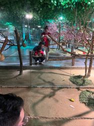 -酷嗒动物文化乐园(cutezoo西溪乐天城店)