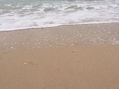 -滴水丹屏