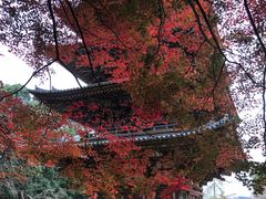 -醍醐寺