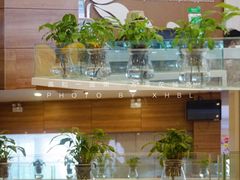 -嘉和一品粥(首经贸店)