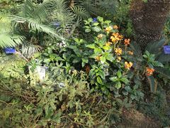 -国家植物园南园