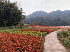 -广州市石门国家森林公园