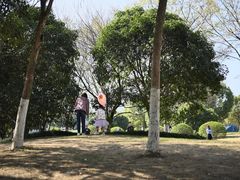 -南京市江宁方山