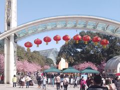 -南山植物园