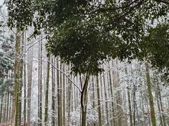 -都江堰景区
